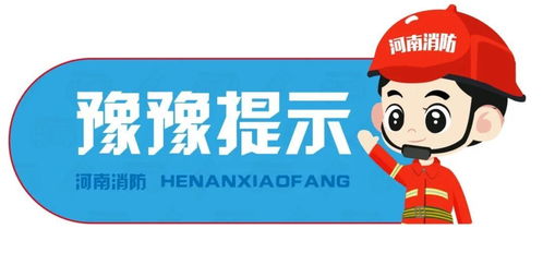 河南担保公司风波，金融安全网的裂痕与警示