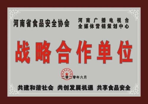 河南担保公司风波，金融安全网的裂痕与警示