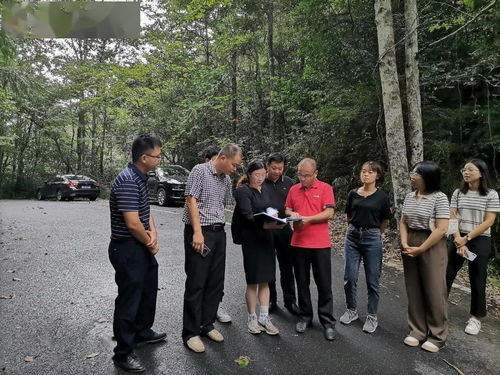 乡村治理中的桥梁，乡书记与派出所长夫人的合作与挑战