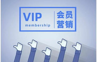 绿茶餐厅与美团的法律较量，一场关于平台经济与商家权益的较量