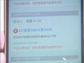 安阳交警网违章查询，如何高效查询并处理违章记录