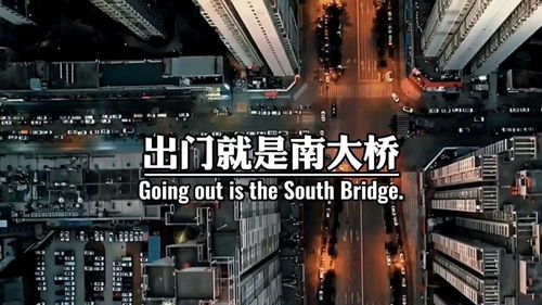 西安防疫新动态，解读今日最新规定