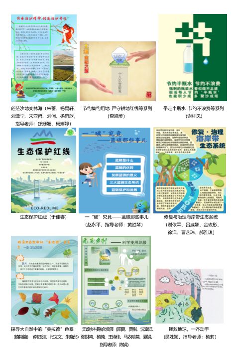 绿化覆盖率的计算与重要性，打造绿色家园的科学指南