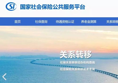 医疗保险转移，保障无缝衔接的实用指南