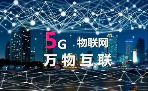 信息时代的桥梁，个人信息联网的奥秘与魅力