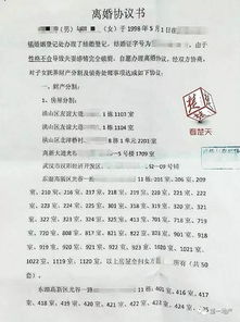63套房离婚协议，财产分割的智慧与挑战