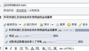 会计凭证格式，掌握财务语言的艺术