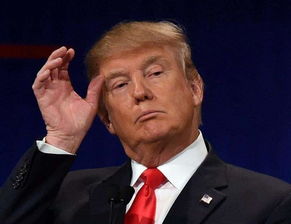 情感纠葛与法律边界，郎咸平事件的启示