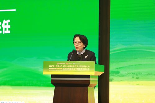 重庆市人大副主任，城市发展的舵手