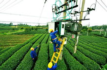 国家电网农电工，点亮乡村，连接未来