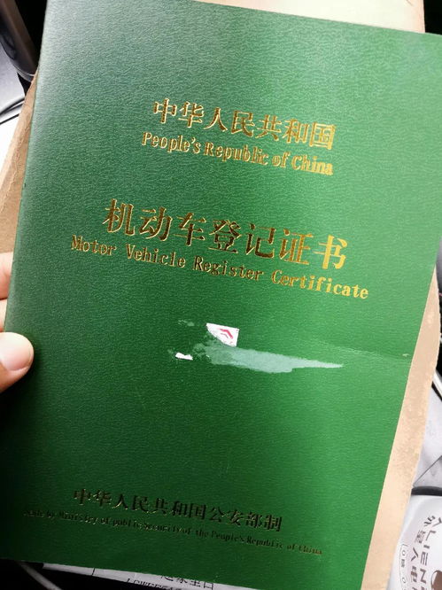 揭秘，登记证书编号背后的奥秘