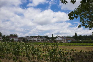 新农村建设，挑战与机遇并存