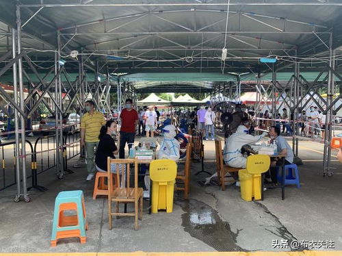 广州今日疫情快讯，了解最新动态，保持警惕与安全