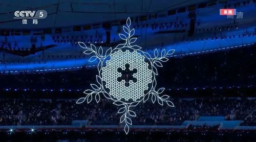 探索现代冬奥会的周期，每四年一次的冰雪盛宴