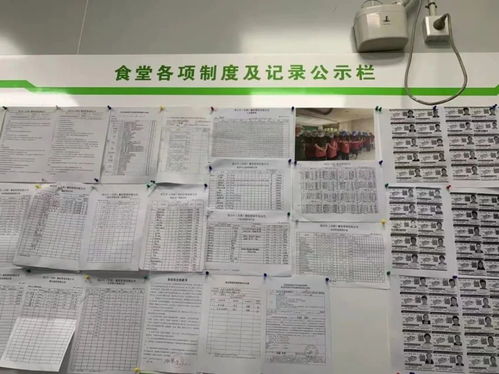 守护舌尖上的安全，深入解析食品安全规章制度的重要性与实施