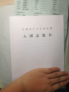 家庭出身，填写的艺术与影响