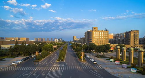 东营市人民政府，引领绿色发展，打造现代化生态城市