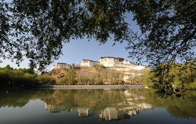 东营市人民政府，引领绿色发展，打造现代化生态城市