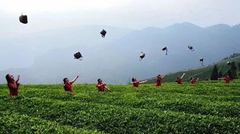 五一假期，放松身心，享受生活的美好时光