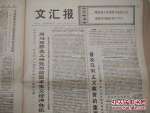 上海国五条细则，城市发展新动力，居民生活新变化