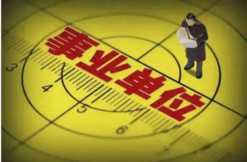 深化事业单位改革，构建高效、服务型政府的新路径