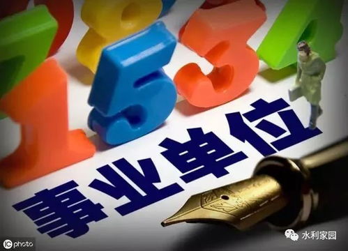 深化事业单位改革，构建高效、服务型政府的新路径