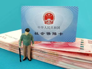 未来保障，新养老保险如何守护您的金色岁月