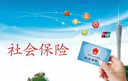 未来保障，新养老保险如何守护您的金色岁月