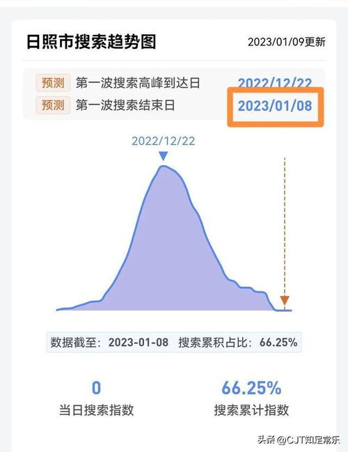 新冠第二波高峰期，全球疫情反弹的警示与应对策略