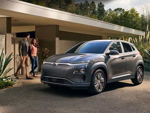 驾驭未来，现代汽车报价与图片的全方位解析