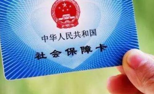 劳动与社会保障，构建和谐社会的基石