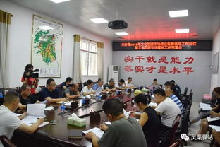 文化市场管理，维护秩序与促进发展的艺术