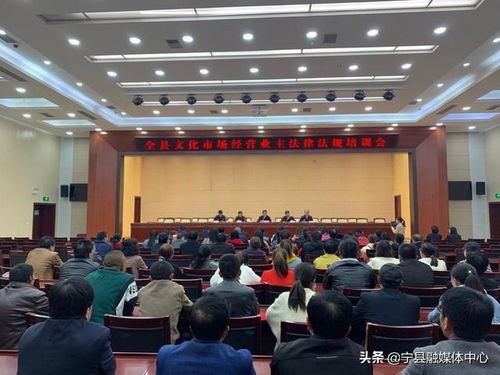 文化市场管理，维护秩序与促进发展的艺术