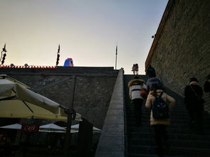 陕西疫情最新动态，共同守护三秦大地的健康防线