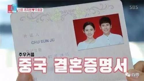 结婚证上的花，爱情的象征与文化意义