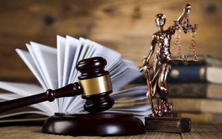 陕西反杀案，正义与自卫的界限，法律与道德的交锋