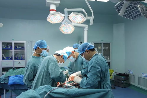 沈阳医学会，推动医疗发展，守护人民健康