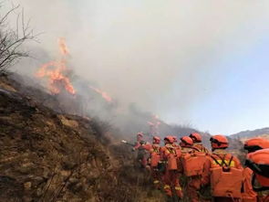 深圳疫情源头追踪，如何从源头遏制疫情蔓延