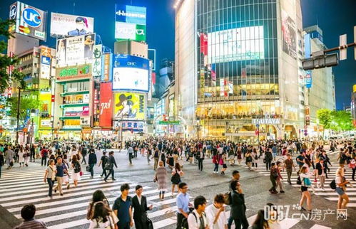 湖南维财金，揭秘湖南黄金投资市场的风云变幻