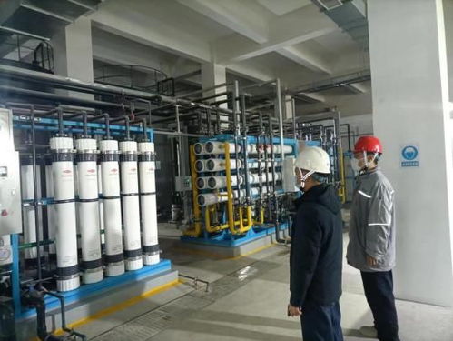 泰州纬立电子厂，深入了解这家企业的内部运作与员工体验