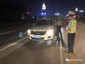 湖南逆行司机逃跑事件，安全驾驶的重要性与法律后果