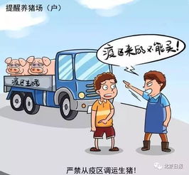 天津疫情风险点解析，如何有效防范与应对