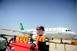 航空运输，速度与效率的结合