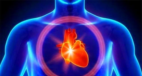 兰州今日疫情最新消息，深入了解与防护指南