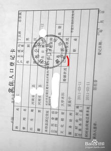 二胎准生证办理指南，条件、流程与实用建议