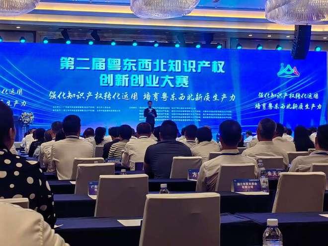 广东省知识产权局，创新驱动的守护者与引领者