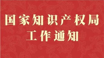 广东省知识产权局，创新驱动的守护者与引领者