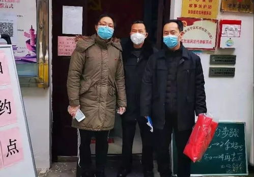 山东战疫进行时，最新疫情动态与防控措施全解析