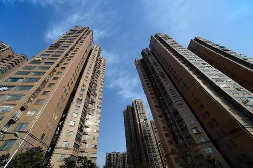 丰台区房管局，房产管理与服务的桥梁