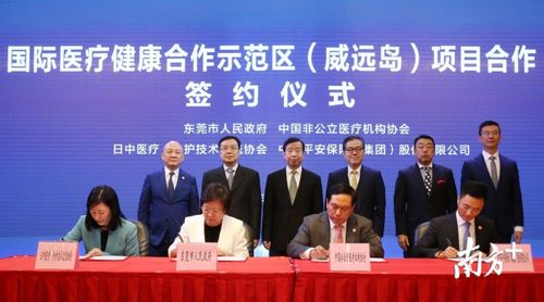 海南省卫生厅，引领健康海南，打造绿色医疗新篇章